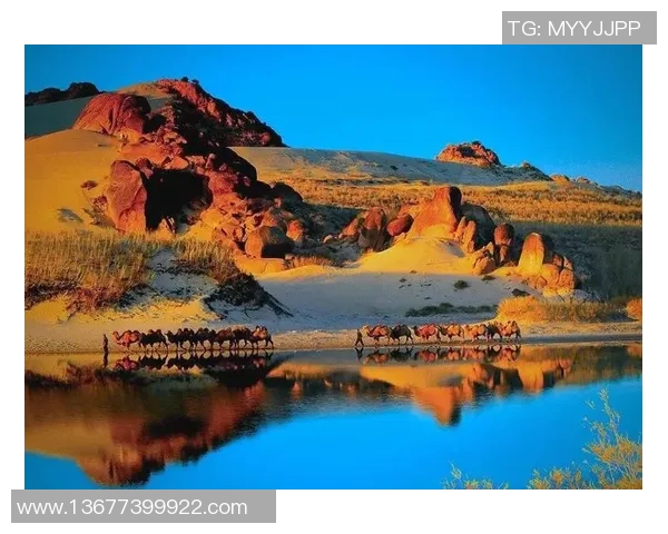 探索埃斯特旺的魅力与文化底蕴揭示这座城市的独特风情与历史传承