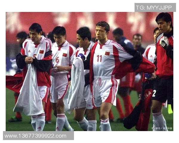 2002年世界杯巴西与中国足球队精彩对决比分回顾与分析